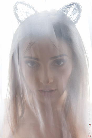 CharmModels