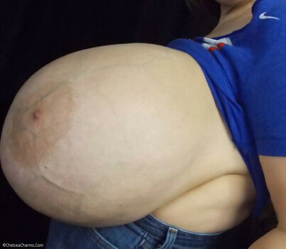 Chelsea Charms