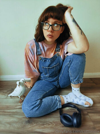 cottonsox