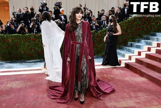 Dakota Johnson