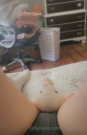 dovecattiri