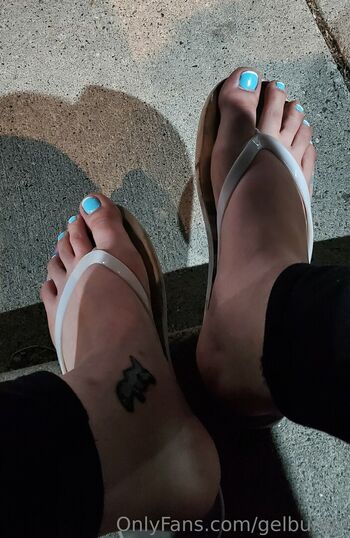 gelbunny