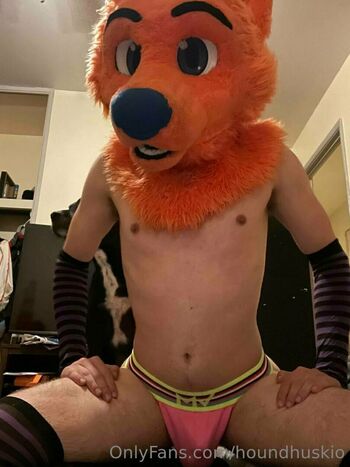 houndhuskio