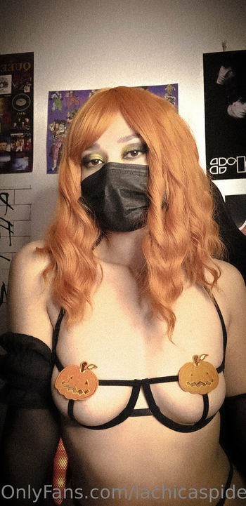 lachicaspider