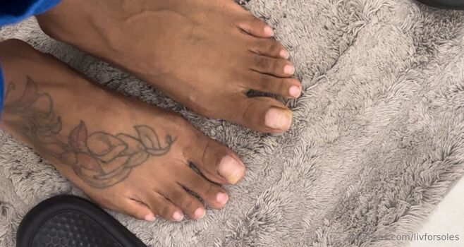 livforsoles