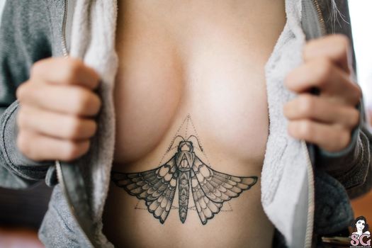 lunarsuicide