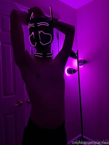 pup_haze