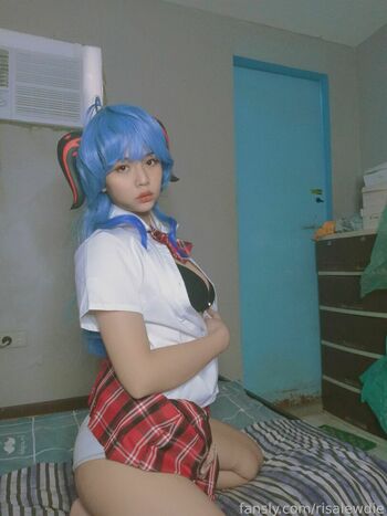 Risanomsyu