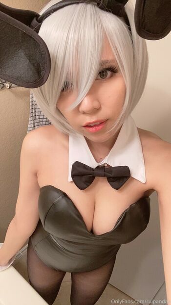 Ruipandaa