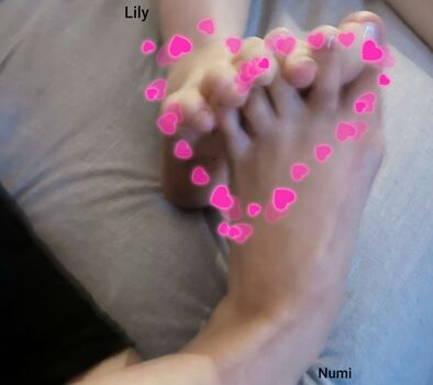 Shylily