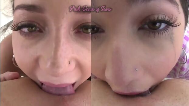 Swallowed