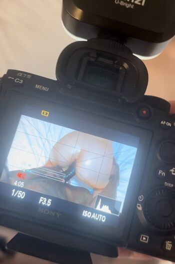 Swedish_vixen