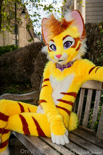 thatyellowkitty