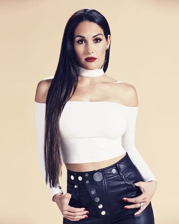 The Bella Twins