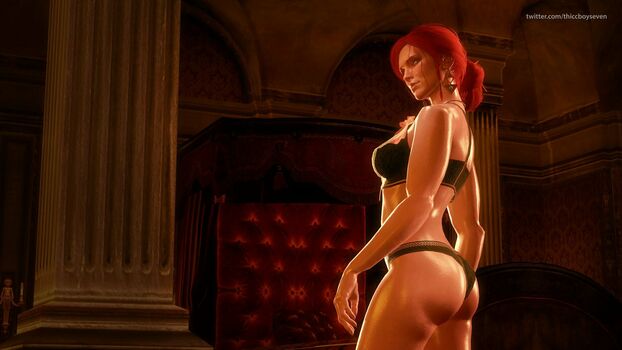 The Witcher