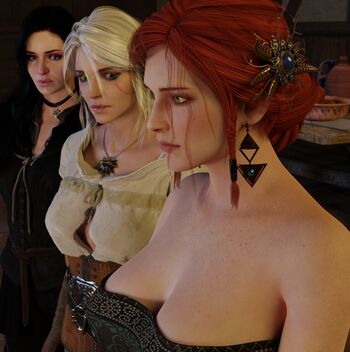 The Witcher